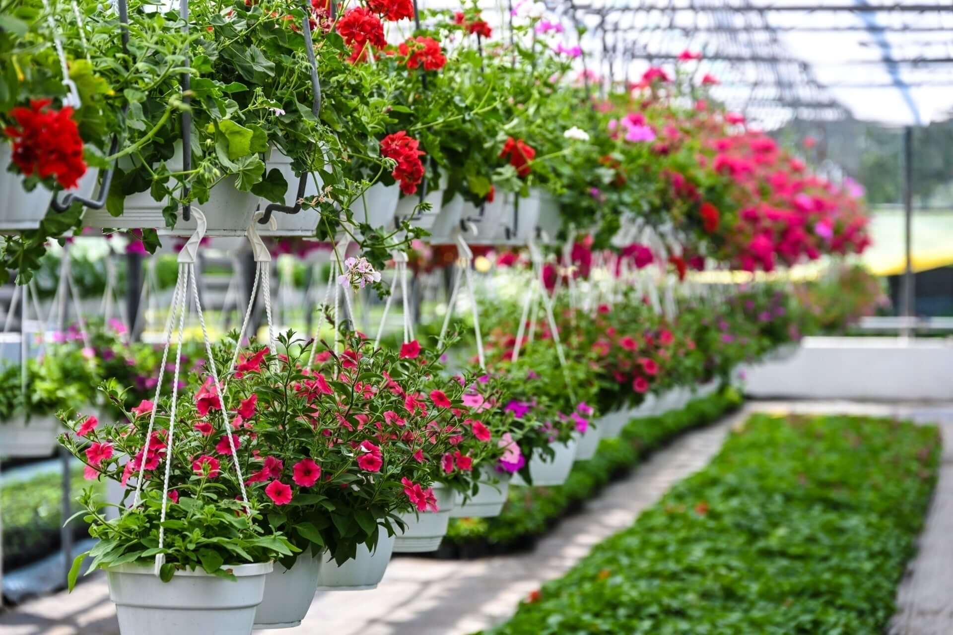 gardening